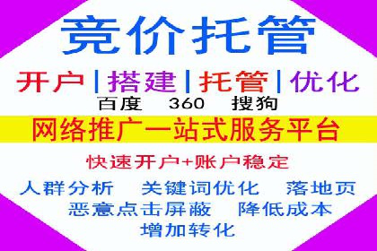 谷歌竞价广告与社交媒体结合的营销案例探讨